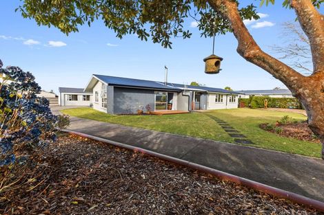 Photo of property in 5 Glanville Road, Stratford, 4332