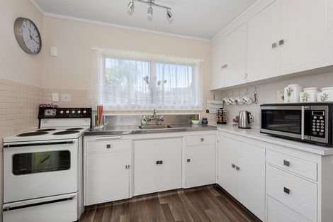 Photo of property in 50b Alison Street, Hamilton Lake, Hamilton, 3204