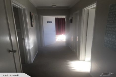 Photo of property in 41 Velma Road, Hillcrest, Auckland, 0627