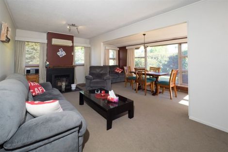 Photo of property in 64 Farm Road, Allenton, Ashburton, 7700