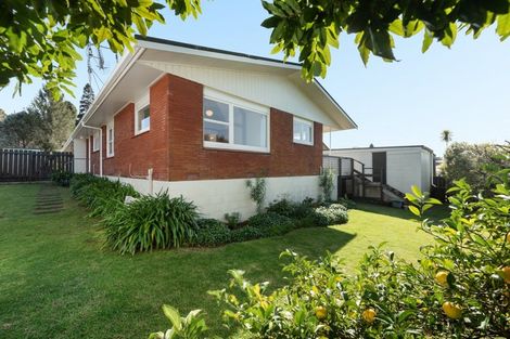 Photo of property in 35b Balmoral Terrace, Otumoetai, Tauranga, 3110
