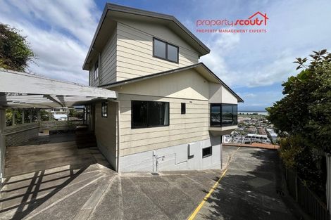 Photo of property in 24 Chamberlain Street, Tahunanui, Nelson, 7011