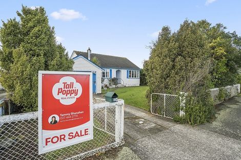 Photo of property in 33 Upham Terrace, Roslyn, Palmerston North, 4414