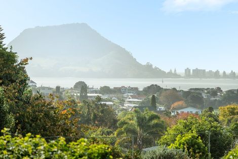 Photo of property in 195 Grange Road, Otumoetai, Tauranga, 3110
