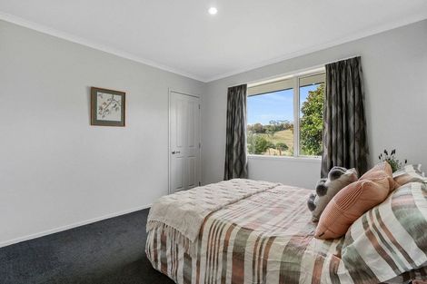 Photo of property in 233 Waipapa Block Road, Whakamarama, Tauranga, 3180