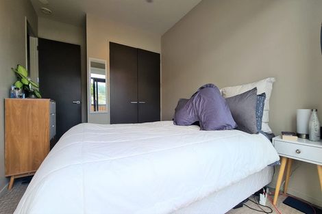 Photo of property in Revolucion Apartments, 301s/28 Torrens Terrace, Mount Cook, Wellington, 6011