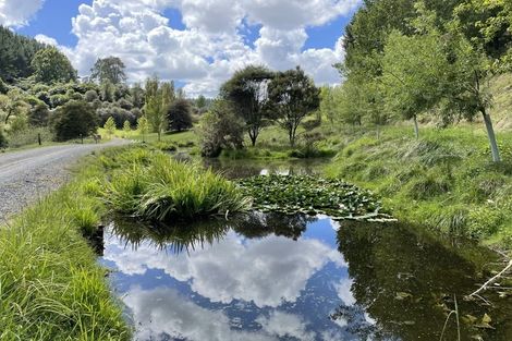 Photo of property in 9 Karapiro Road, Karapiro, Cambridge, 3496