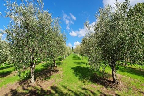 Photo of property in 574 Kerikeri Road, Kerikeri, 0293