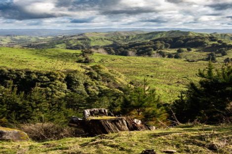 Photo of property in 81d Middle Road, Tohunga Junction, Raetihi, 4696