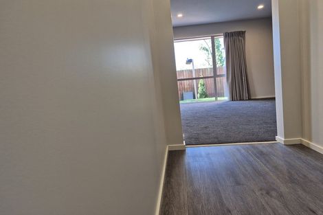 Photo of property in 20a Plunket Street, Spreydon, Christchurch, 8024