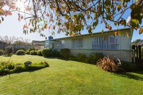 Photo of property in 38 Ruahine Street, Dannevirke, 4930