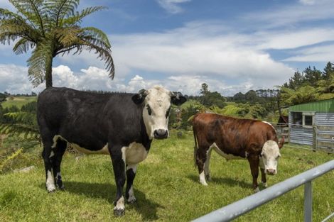 Photo of property in 96 Peers Road, Omanawa, Tauranga, 3171