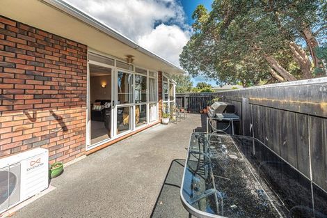 Photo of property in 34a College Street, College Estate, Whanganui, 4500