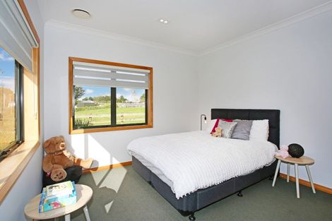 Photo of property in 79 Titi Road, Mauku, Pukekohe, 2678