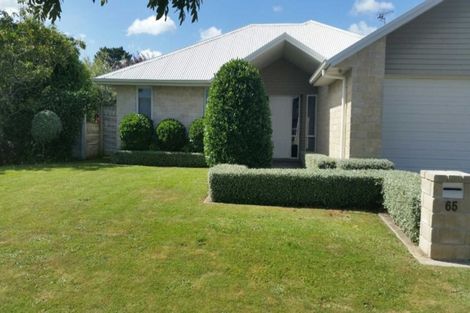 Photo of property in 65 Condor Drive, Pyes Pa, Tauranga, 3112