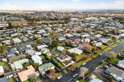 Photo of property in 17 Hinau Street, Maeroa, Hamilton, 3200