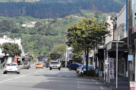 Photo of property in 9 King Street, Petone, Lower Hutt, 5012