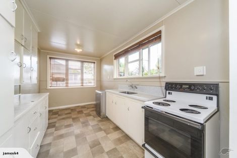 Photo of property in 115 Limbrick Street, Terrace End, Palmerston North, 4410