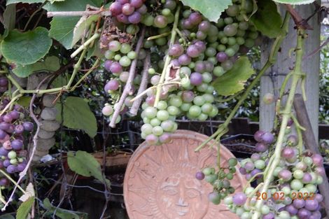 Photo of property in 45 Elbourne Street, Taradale, Napier, 4112