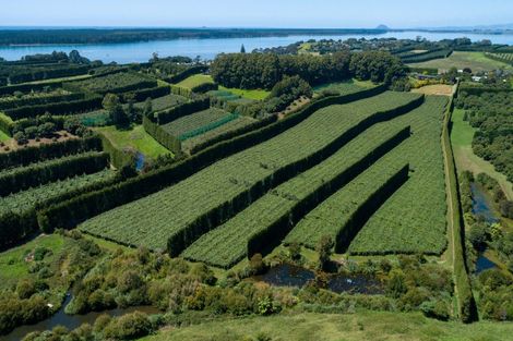 Photo of property in 215 Ongare Point Road, Tahawai, 3170