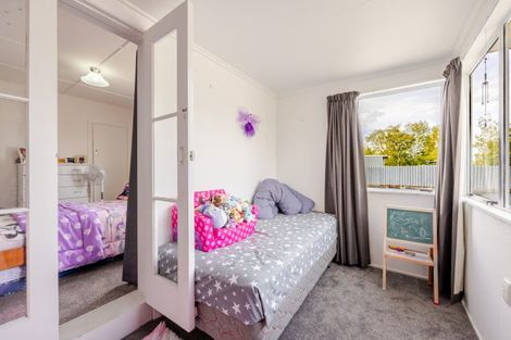 Photo of property in 38 Francis Drake Street, Waipukurau, 4200