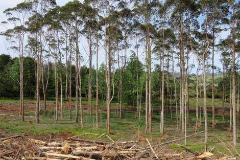 Photo of property in 59 Harbour View Rise, Mangonui, 0494