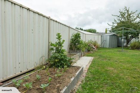 Photo of property in 42 Kuripuni Street, Kuripuni, Masterton, 5810