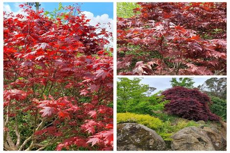 Photo of property in 128e Mauku Road, Patumahoe, Pukekohe, 2678