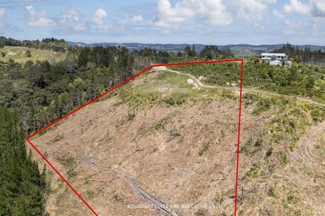 Photo of property in 197 Wishart Road, Helensville, 0875