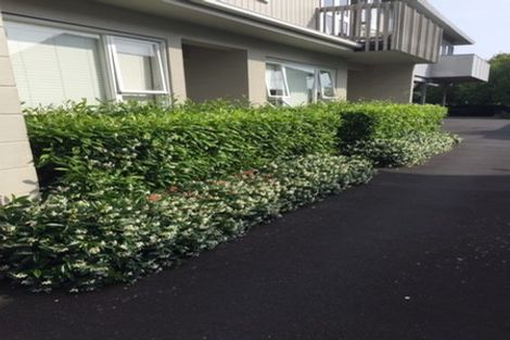 Photo of property in 4/9 Campbell Road, Takapuna, Auckland, 0622