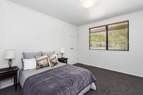 Photo of property in 15 Darley Street, Maeroa, Hamilton, 3200