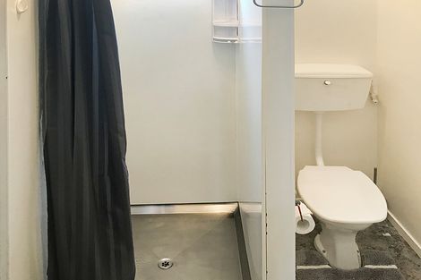 Photo of property in 82 Stafford Street, Dunedin Central, Dunedin, 9016