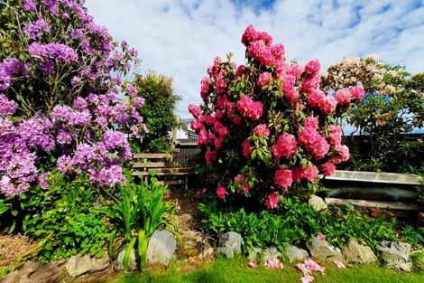 Photo of property in 22b Naish Street, Balclutha, 9230