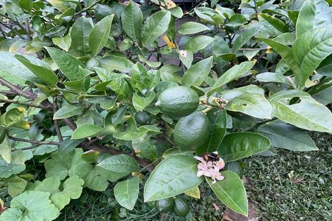 Photo of property in 74 Cambridge Terrace, Waterloo, Lower Hutt, 5011