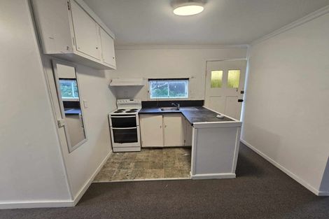 Photo of property in 20 Rhodes Street, Newtown, Wellington, 6021