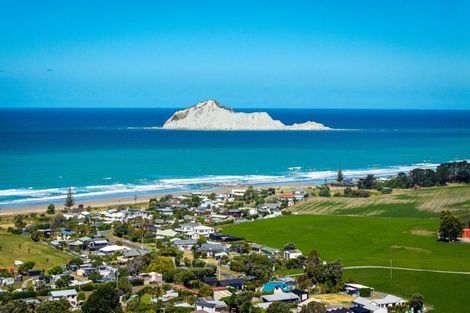 Photo of property in 21 Gillies Crescent, Waimarama, Havelock North, 4294