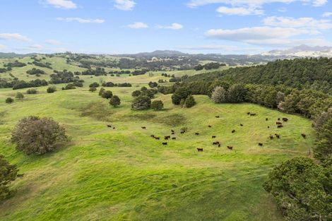 Photo of property in 53 Nursery Lane, Papamoa, 3118
