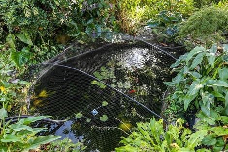 Photo of property in 18 Bracken Street, New Plymouth, 4310