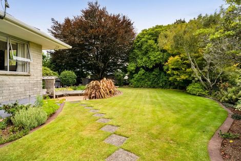 Photo of property in 39 Oberon Street, Stratford, 4332