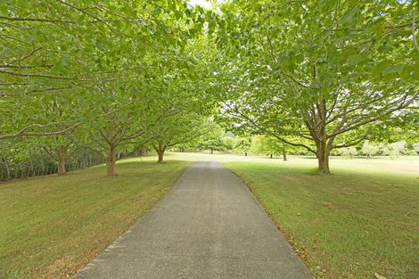 Photo of property in 246 State Highway 16, Kumeu, 0892