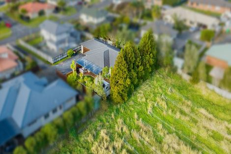 Photo of property in 44 Roy Maloney Drive, Henderson, Auckland, 0612