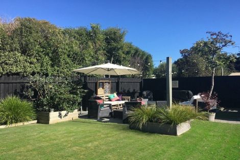 Photo of property in 244 Opawa Road, Hillsborough, Christchurch, 8022