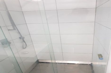 Photo of property in Detroit Apartments, 212/181 Tasman Street, Mount Cook, Wellington, 6021