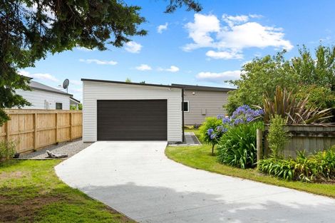Photo of property in 77 Dublin Street, Martinborough, 5711