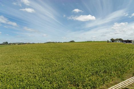 Photo of property in 376 Clark And Denize Road, Pukekawa, 2696