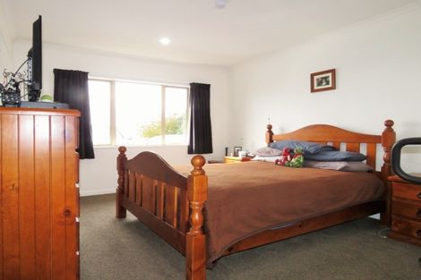 Photo of property in 91 Buckley Road, Shannon, Palmerston North, 4474