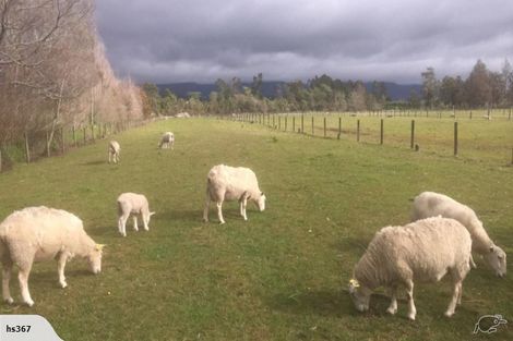 Photo of property in 138 Snodgrass Road, Westport, 7892