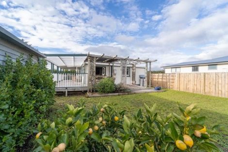 Photo of property in 16 New York Street, Martinborough, 5711