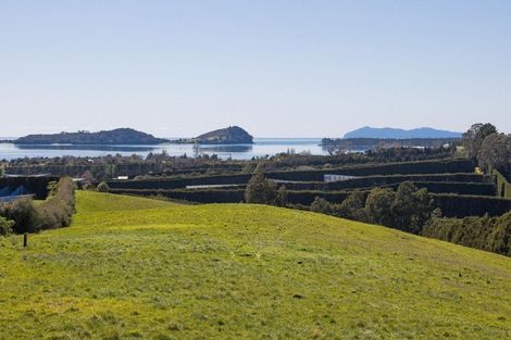 Photo of property in 94a Martray Road, Tahawai, Katikati, 3170