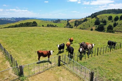 Photo of property in 579 Ormiston Road, Ruakaka, Waipu, 0582